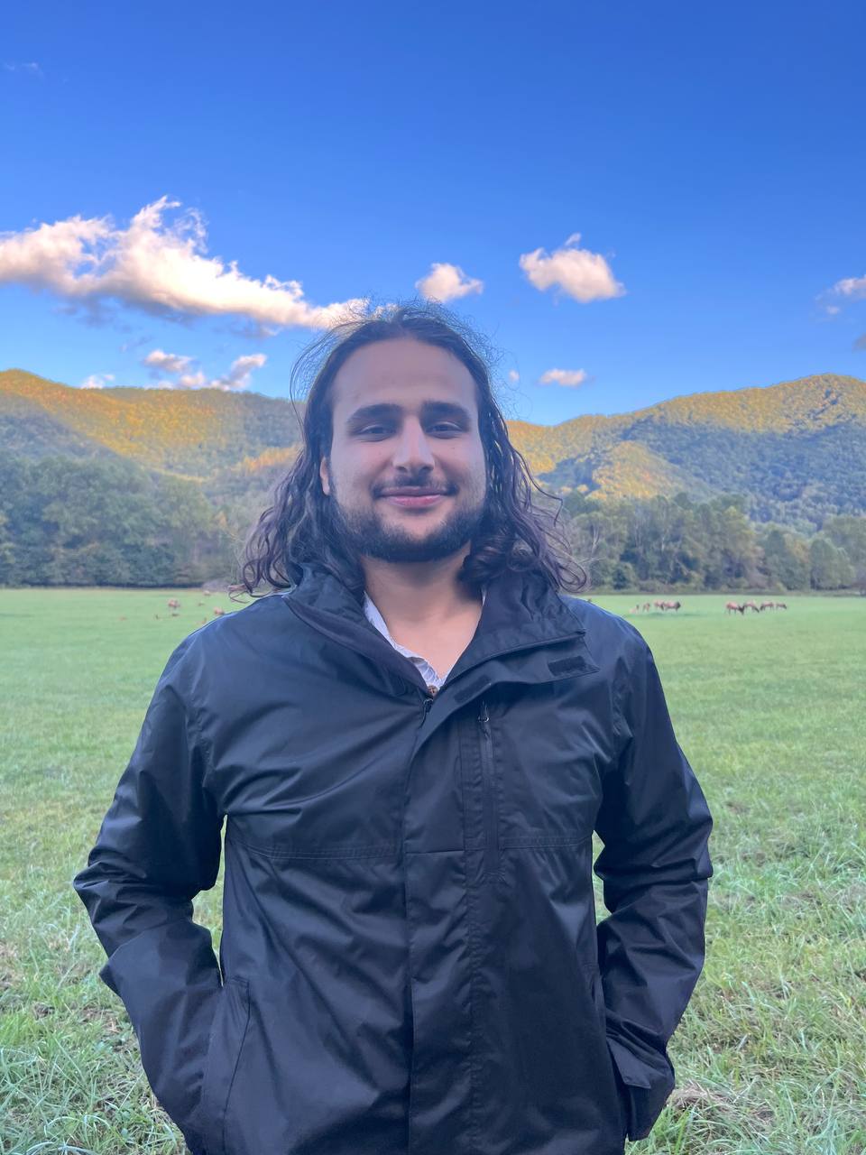 Album photo smoky mountain